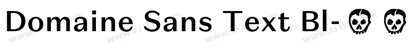 Domaine Sans Text Bl字体转换